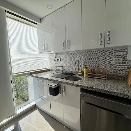 Luxurious And Comfortable Pool & Gym Appartement Istambul
